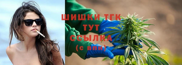 хмурый Абаза