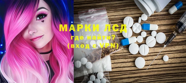 хмурый Абаза