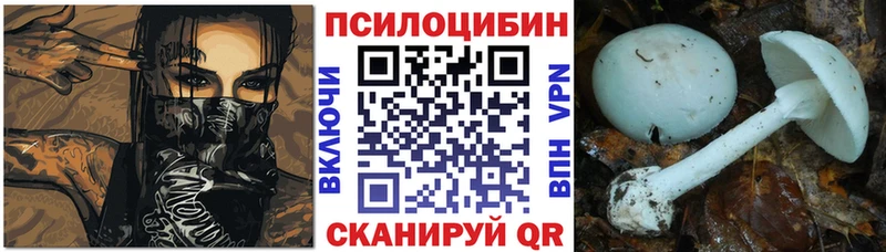 магазин    Ак-Довурак  мега сайт  Галлюциногенные грибы Psilocybine cubensis 
